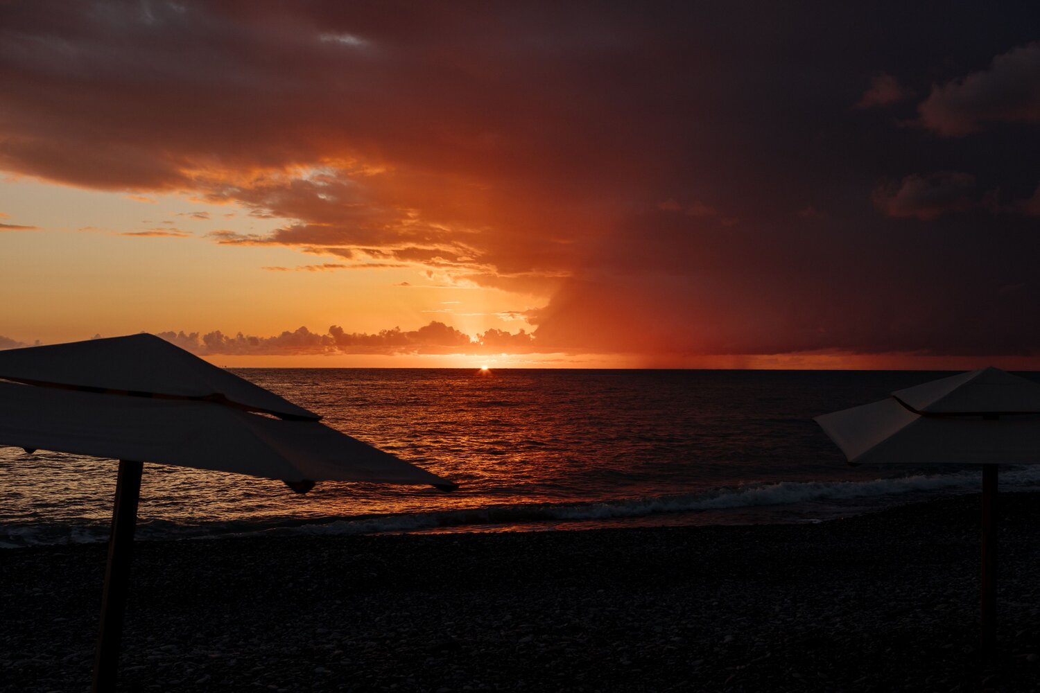 Photo #13882640