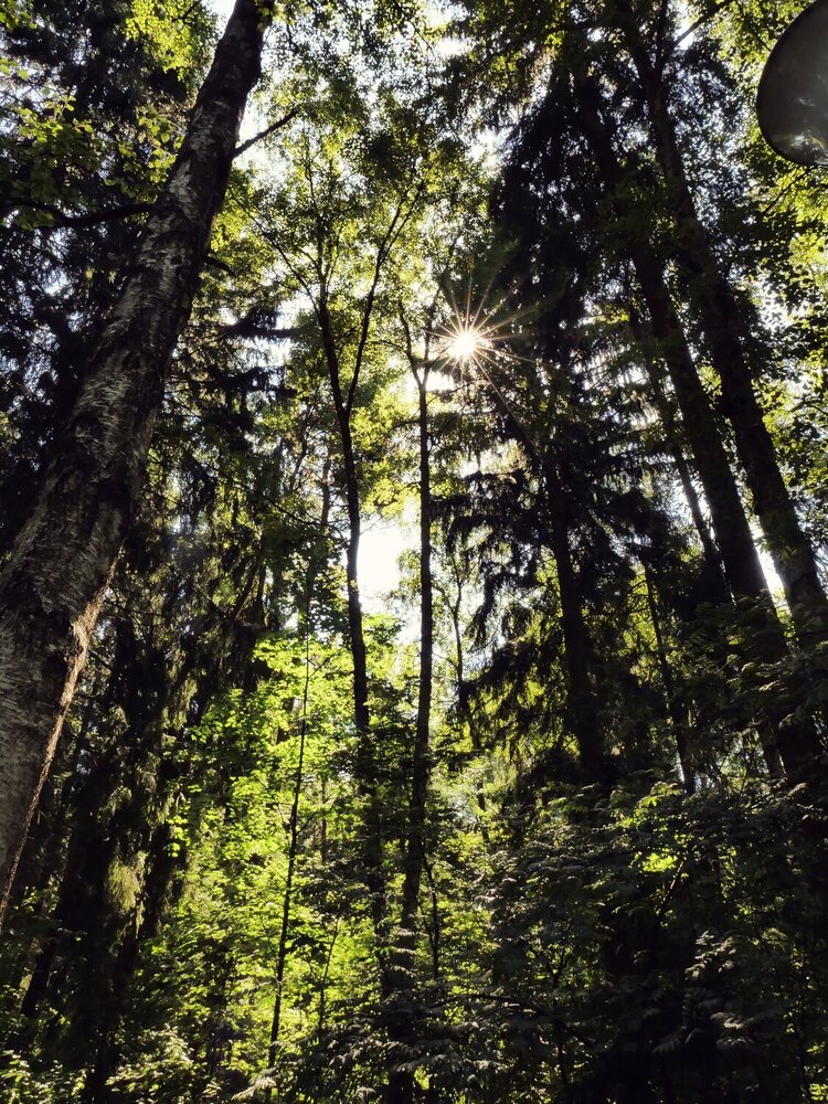 Photograph by Илья Назаров