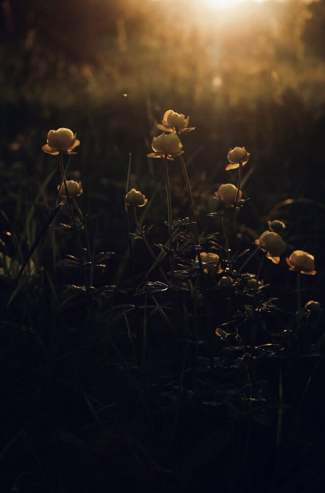 Photograph by Ляйсан Мубаракова