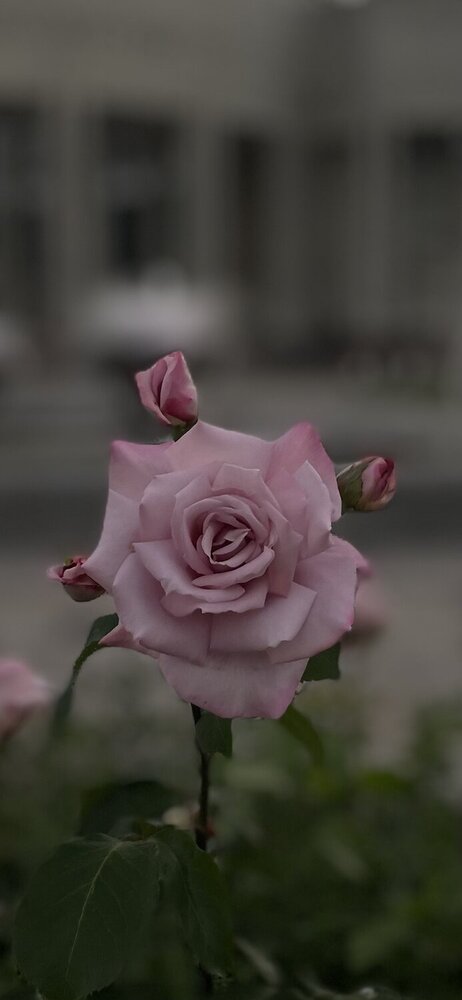 Photograph by Анна Беднякова