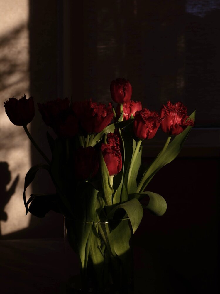 Photograph by Ольга Байгажакова