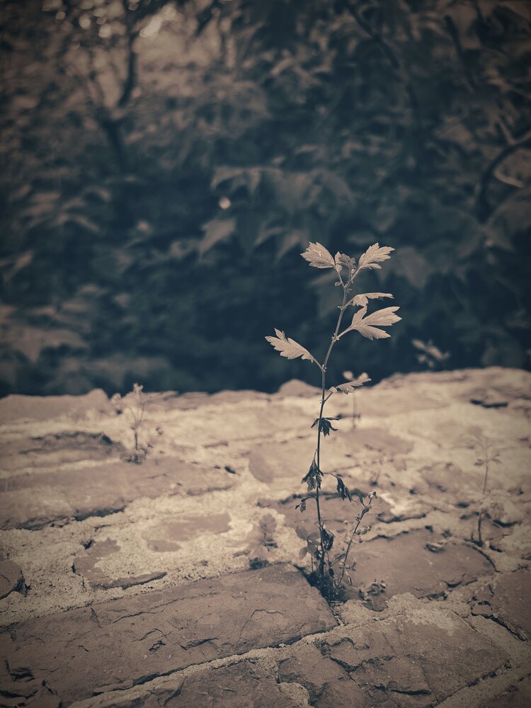 Photograph by Виктор Анциферов
