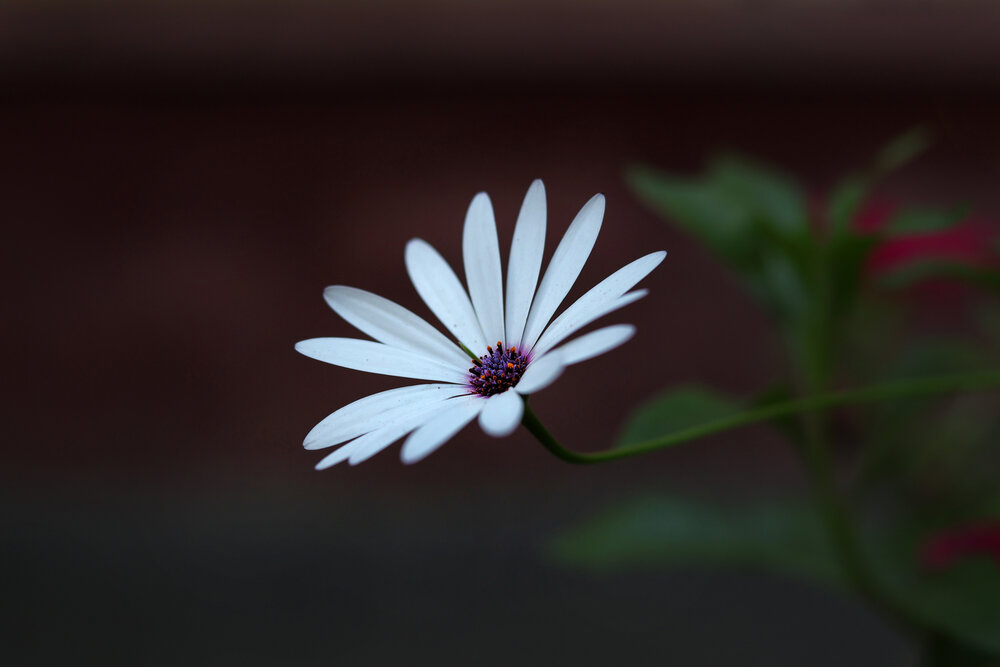 Photograph by Екатерина Самошкина