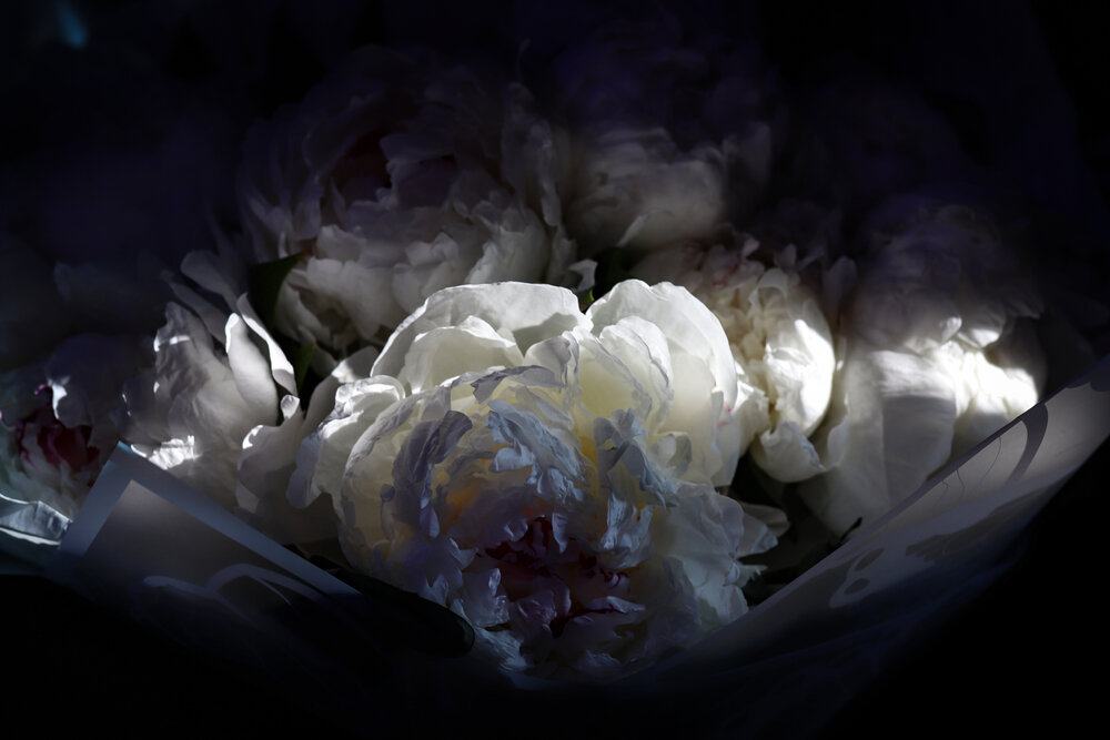 Photograph by Екатерина Самошкина