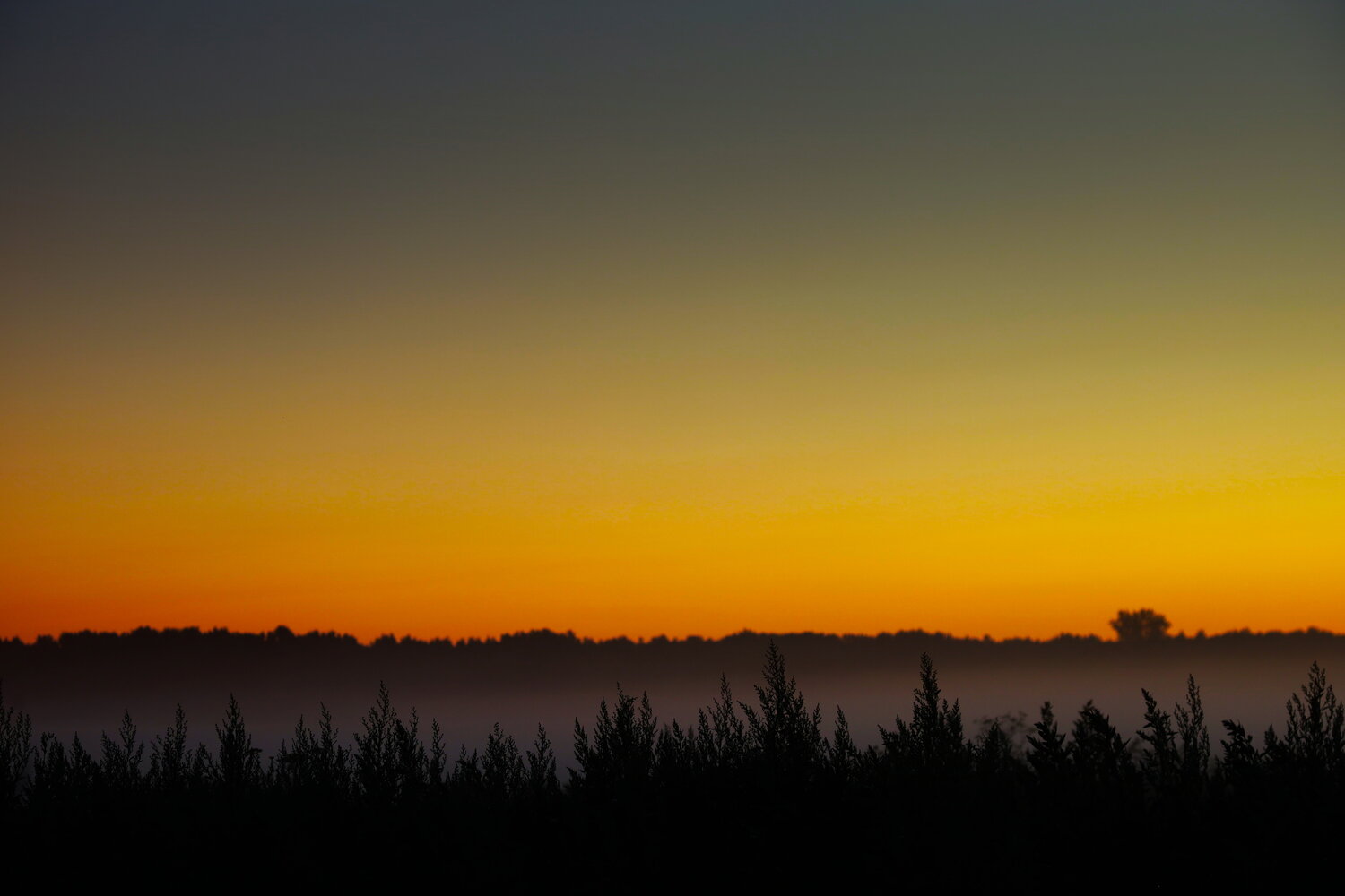 Photo #13882934