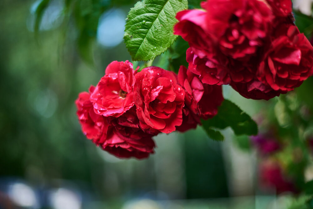 Photograph by Виталий Якимов