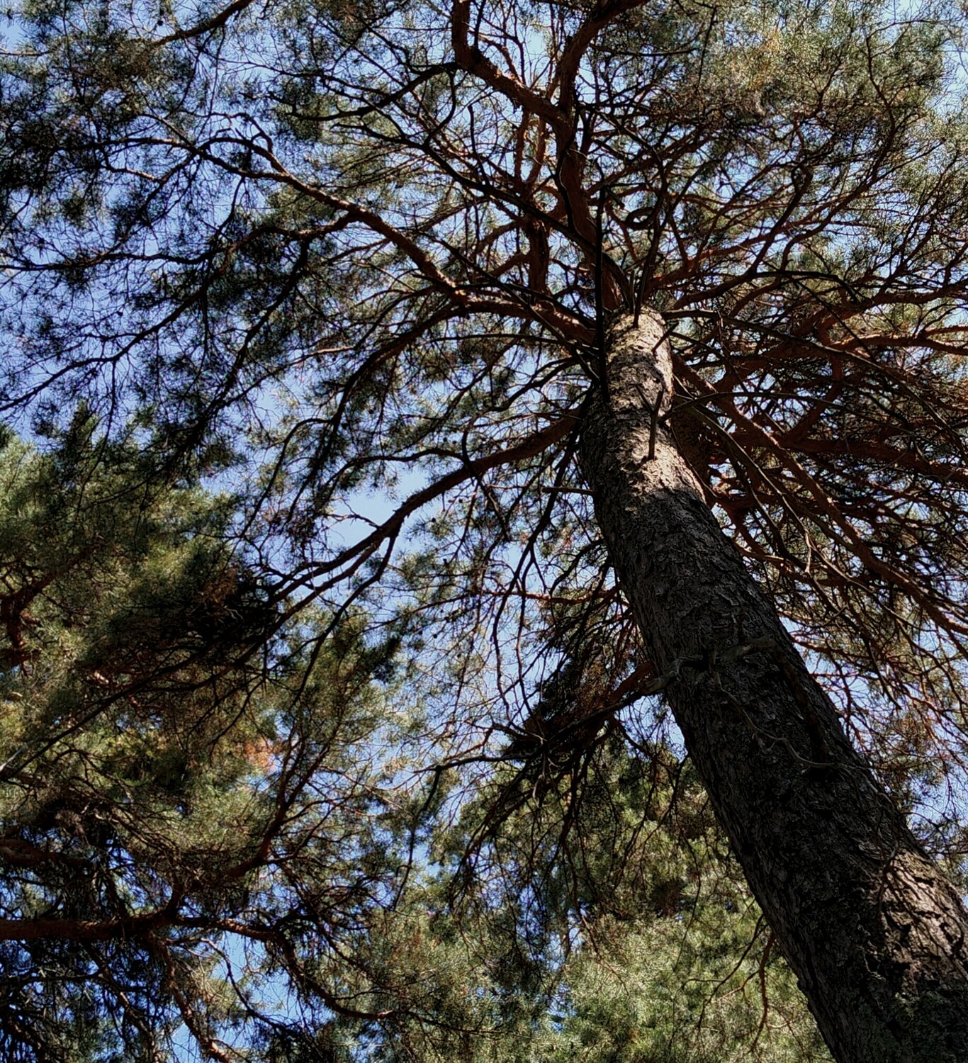Photo #13882974