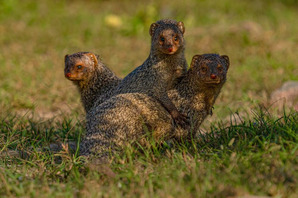 Photograph by Vipul Saxena