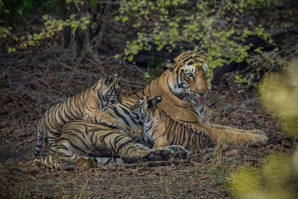Photograph by Vipul Saxena