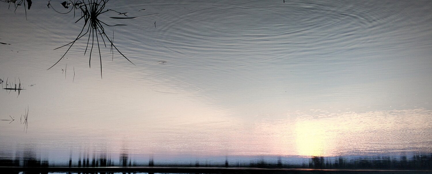 Photo #13882997