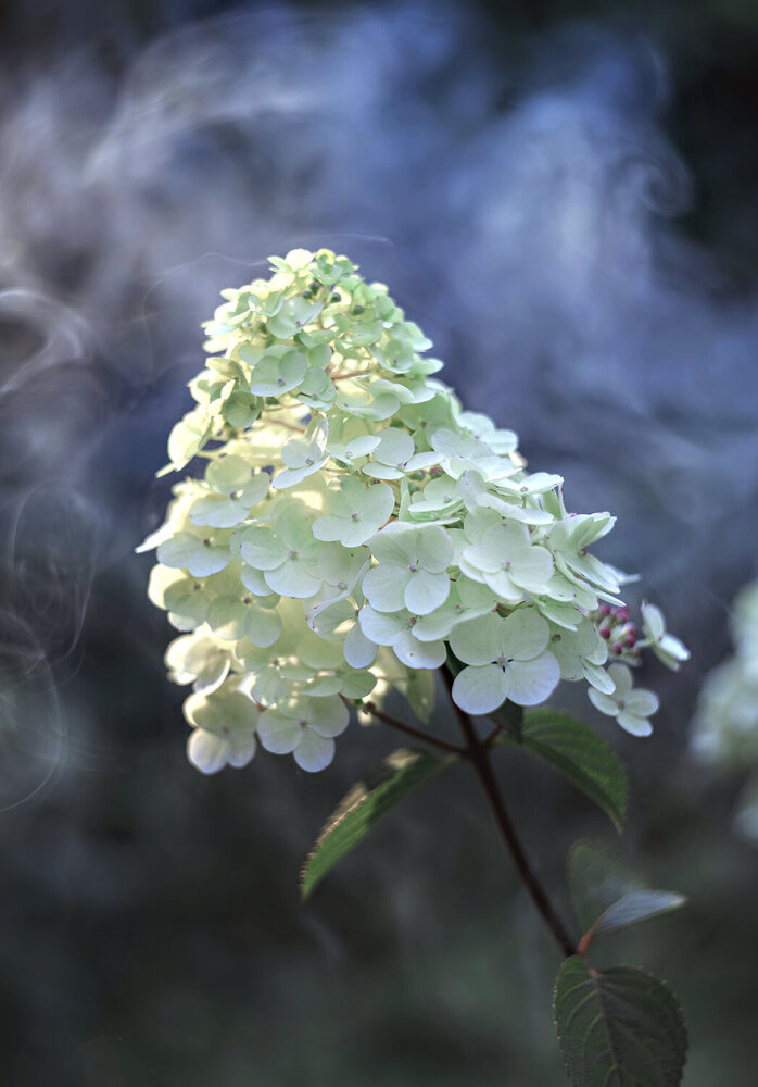 Photograph by Natalia Matyukhina