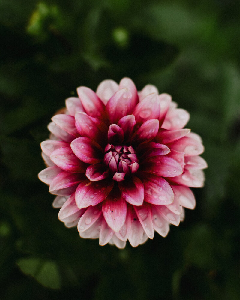 Photograph by Дарья Бышек