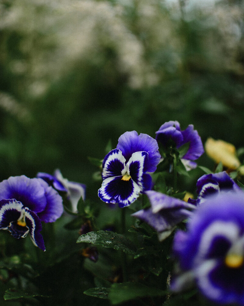 Photograph by Дарья Бышек