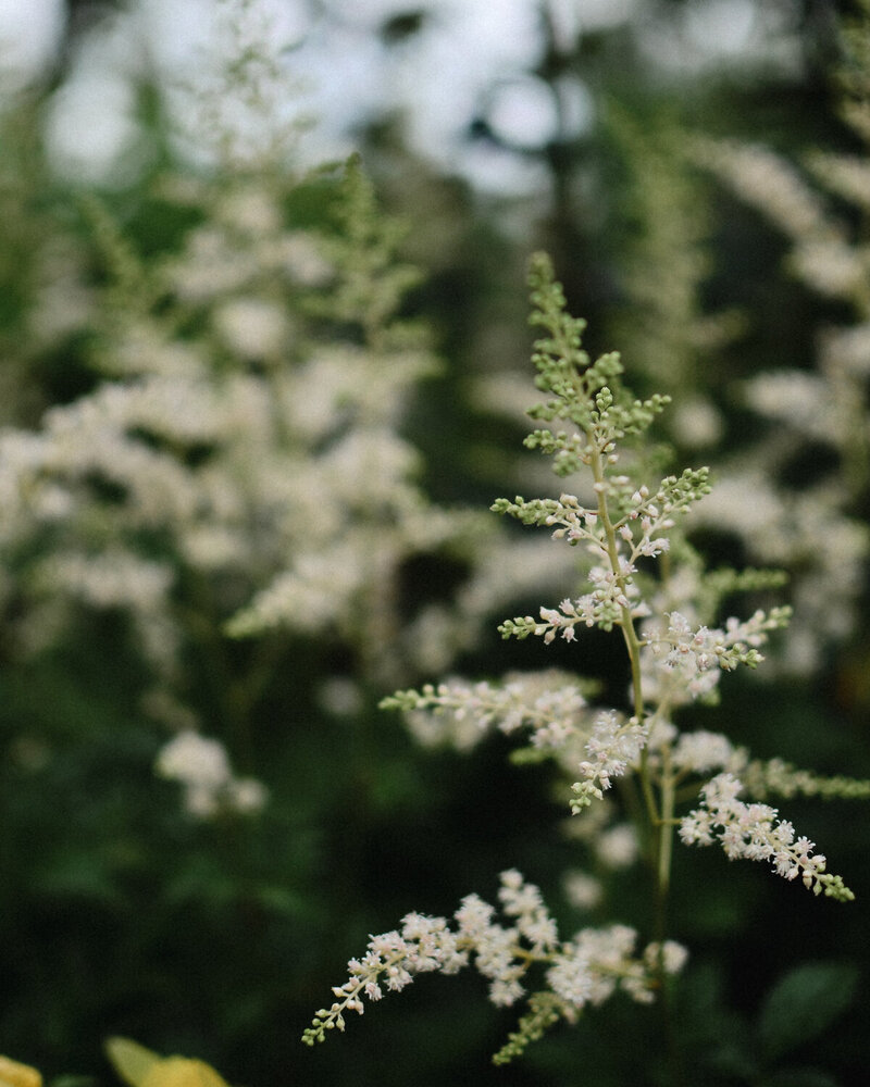 Photograph by Дарья Бышек