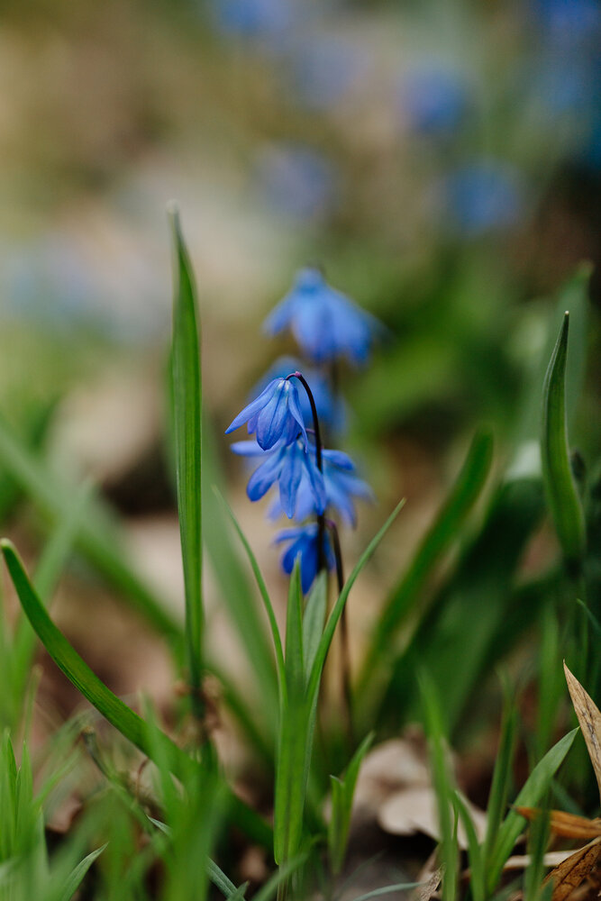 Photograph by Ксения Моисеенко