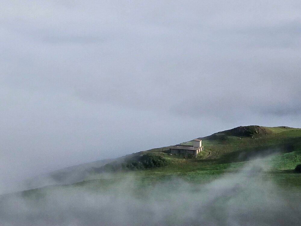 Photograph by Masoumeh Rahimi