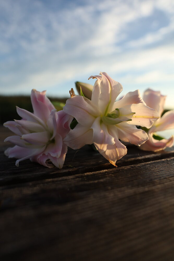 Photograph by Людмила Кочеткова