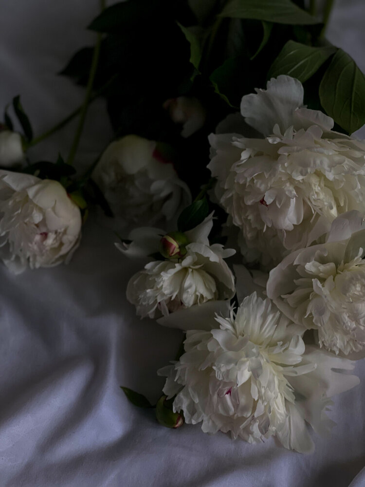 Photograph by Наталья Сергеевна