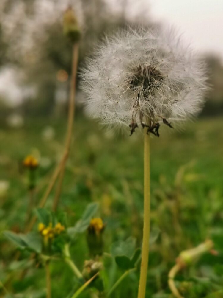 Photograph by Malik Mohsin