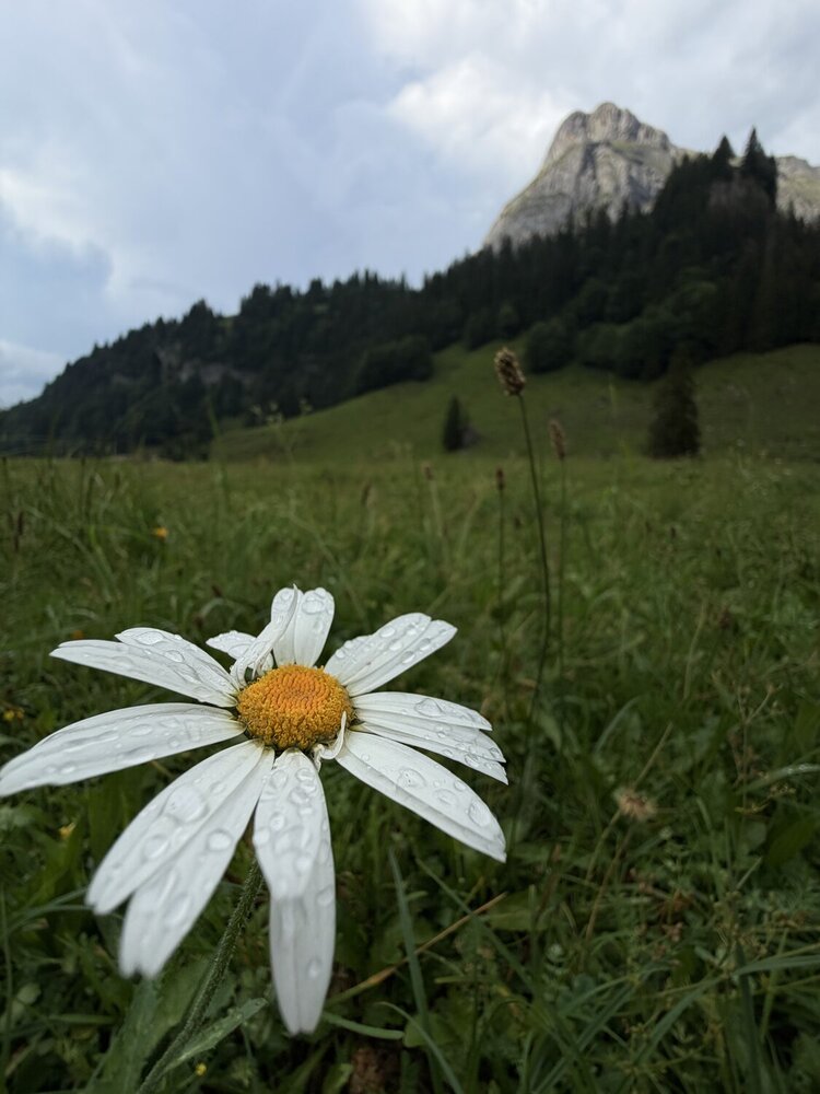 Photograph by Tanja Gutjahr