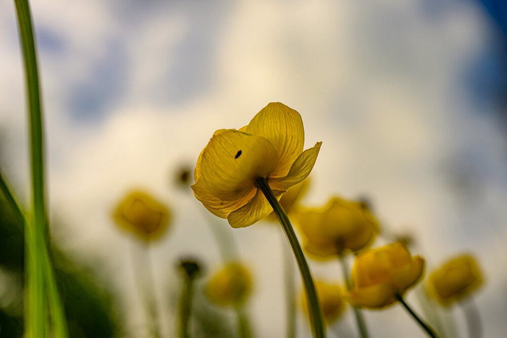 Photograph by Константин Бородулин