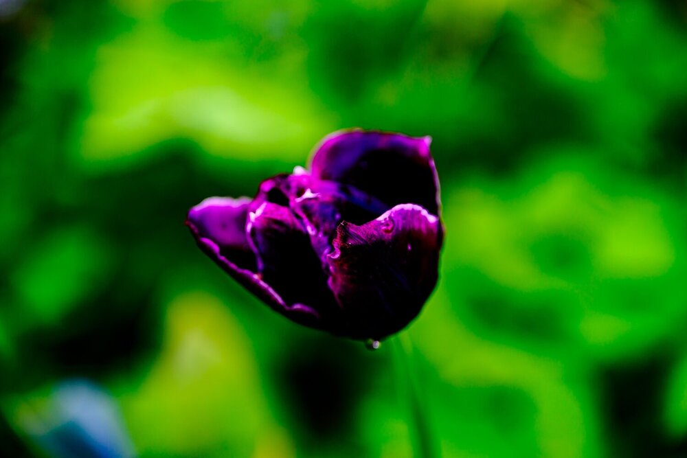 Photograph by Константин Бородулин