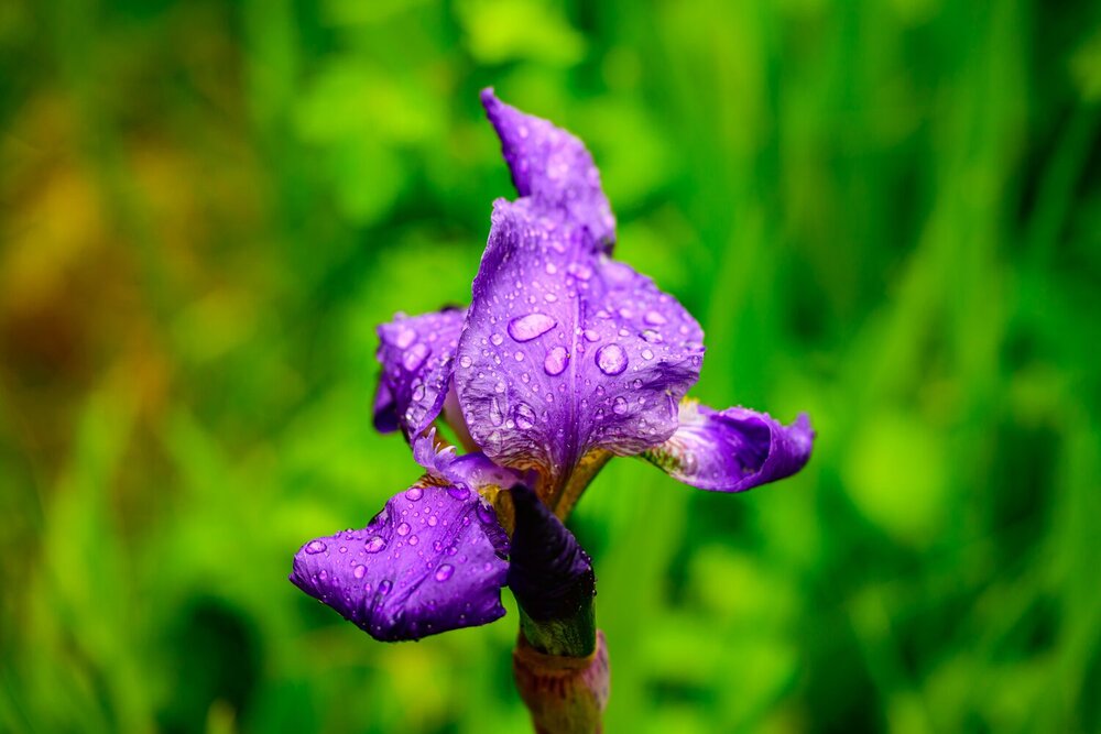 Photograph by Константин Бородулин