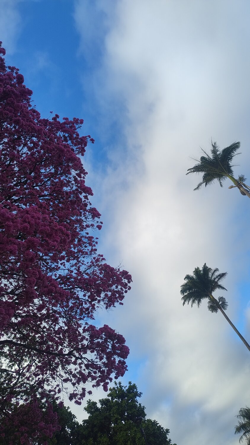 Photo #13883499