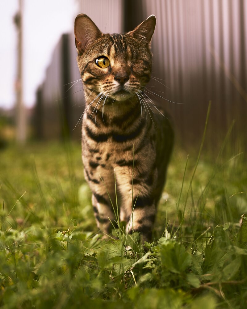 Photograph by Мария Ганина