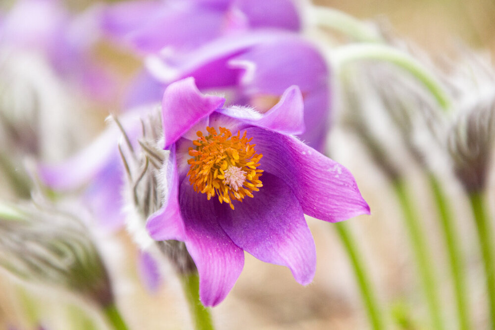Photograph by Алексей Борисов