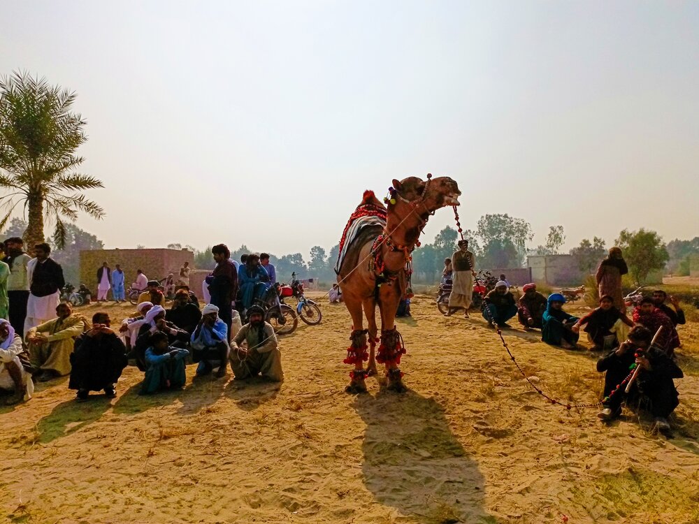 Photograph by Bilal Ahmad Khaki