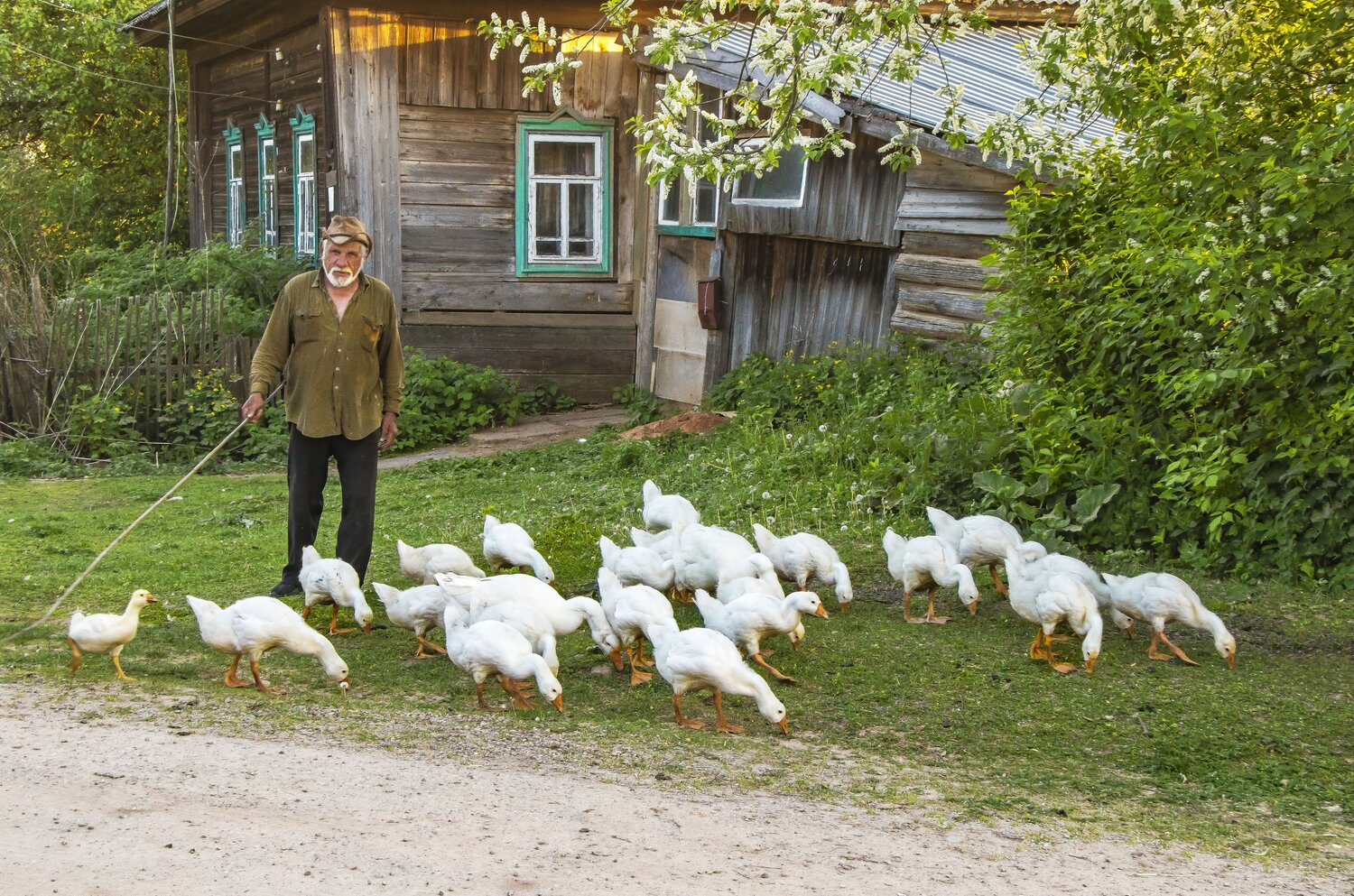 Сельский вечер