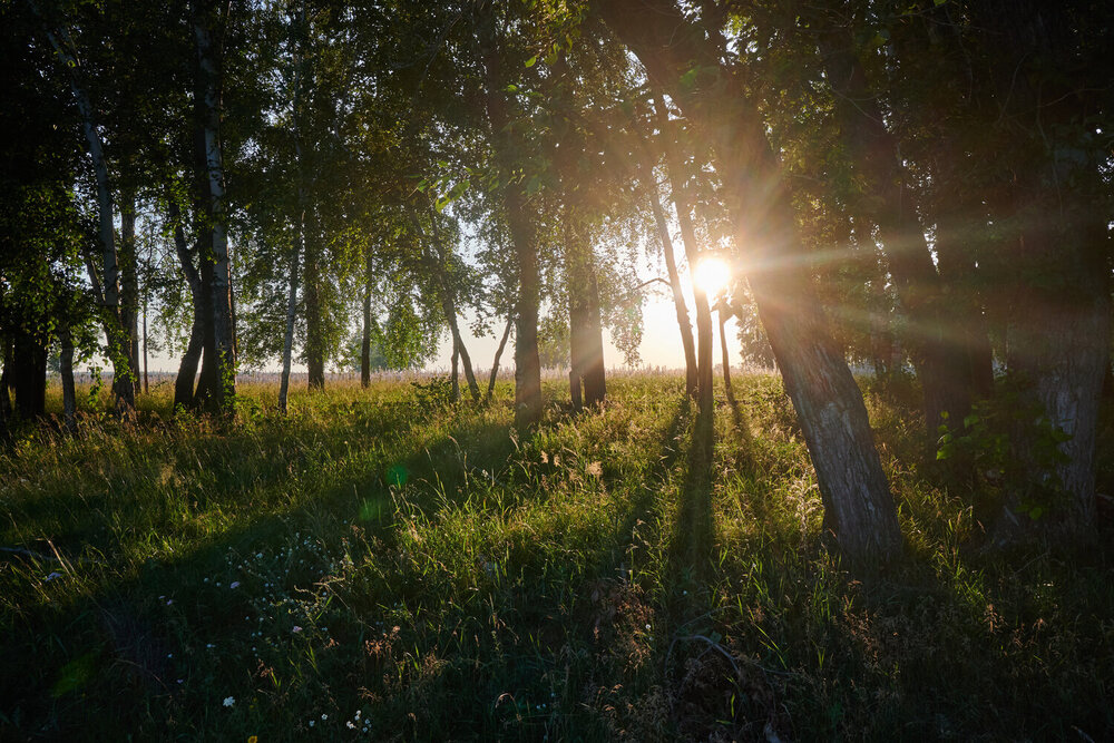 Photograph by Алексей Пахомов