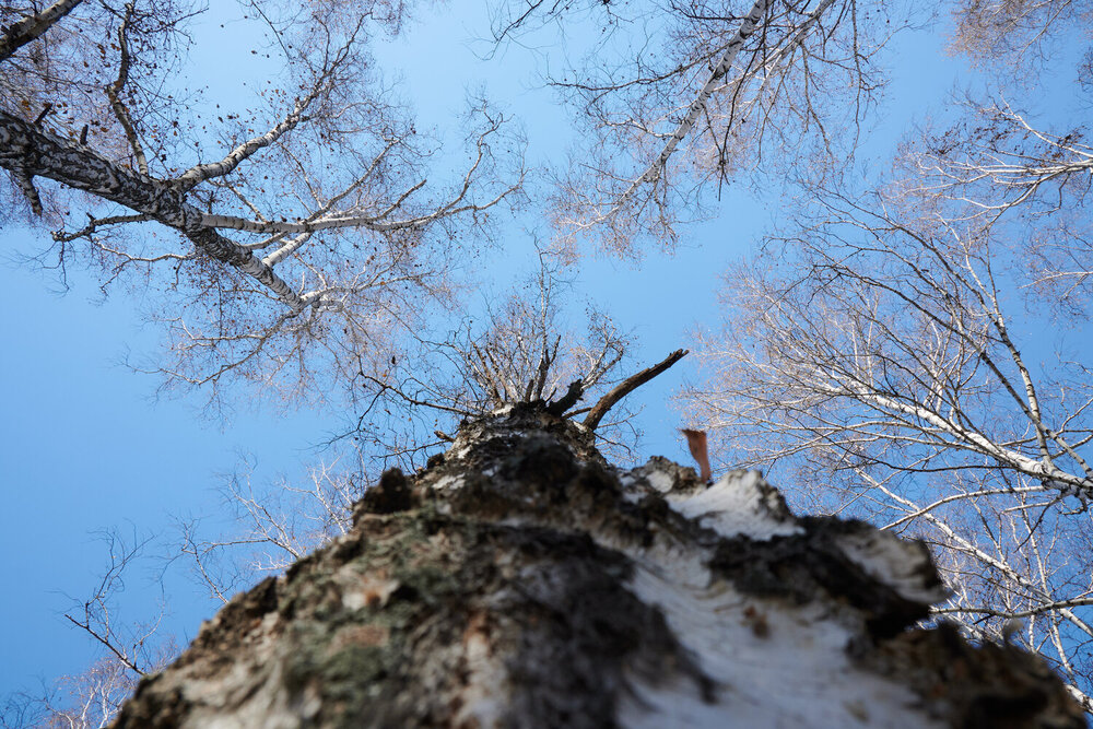 Photograph by Алексей Пахомов