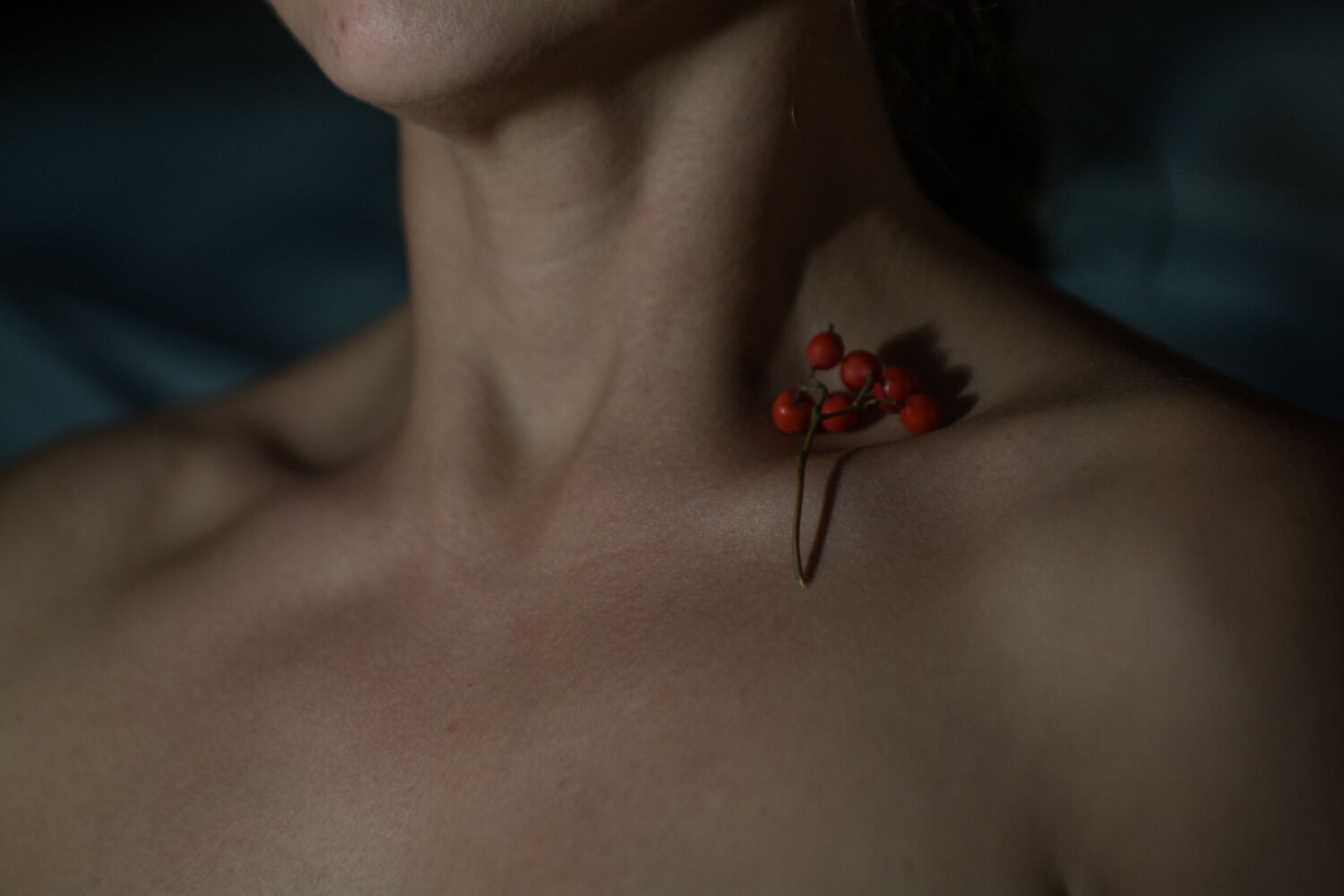Photo #13883742