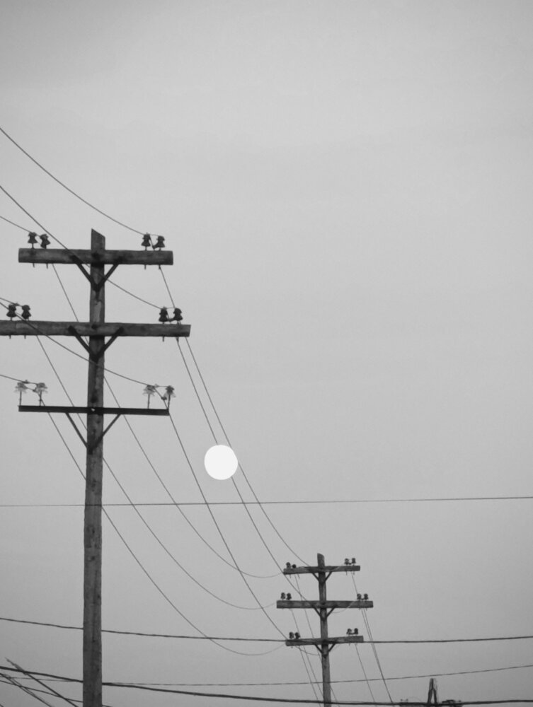 Photo #13883748