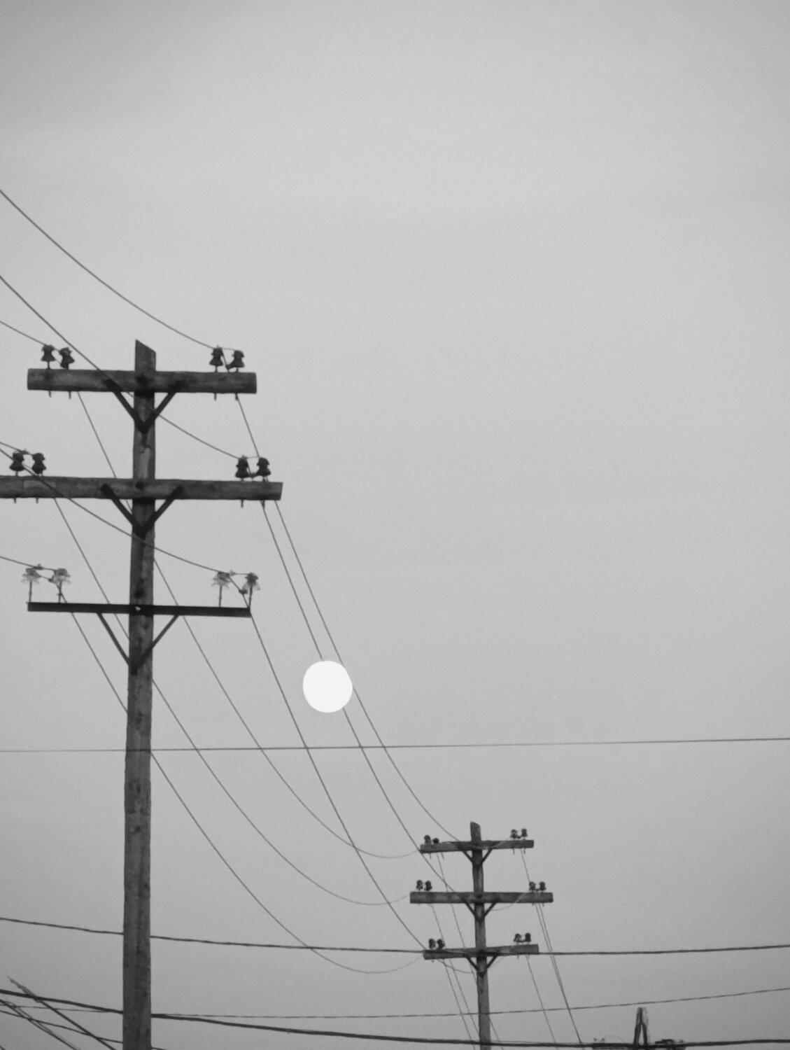 Photo #13883748
