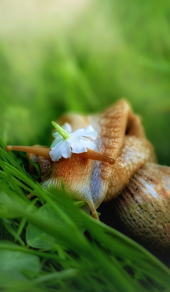 Photograph by Dina Chaica
