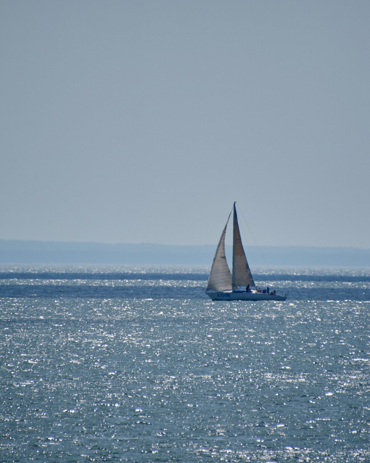 Photo #13883827