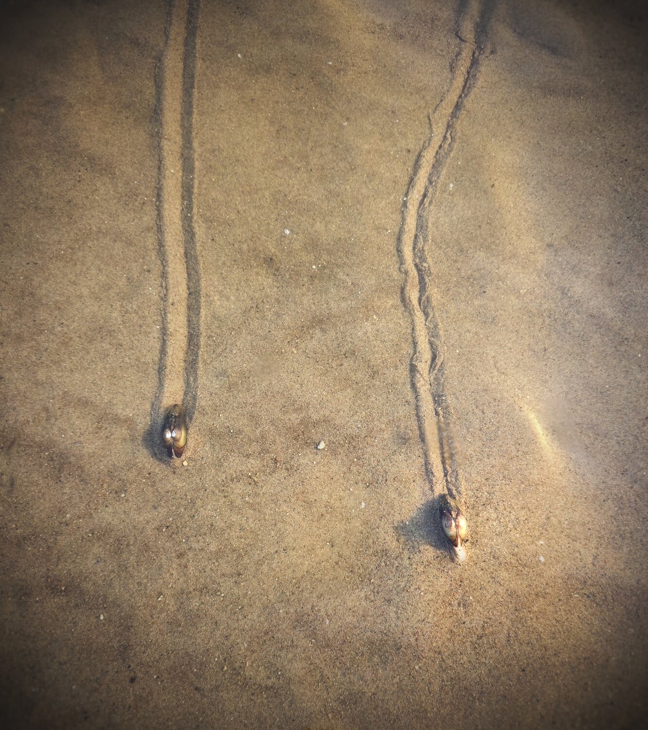 Photo #13883860