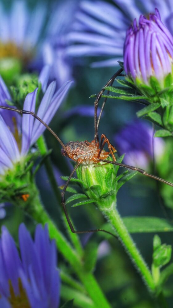 Photograph by Dina Chaica