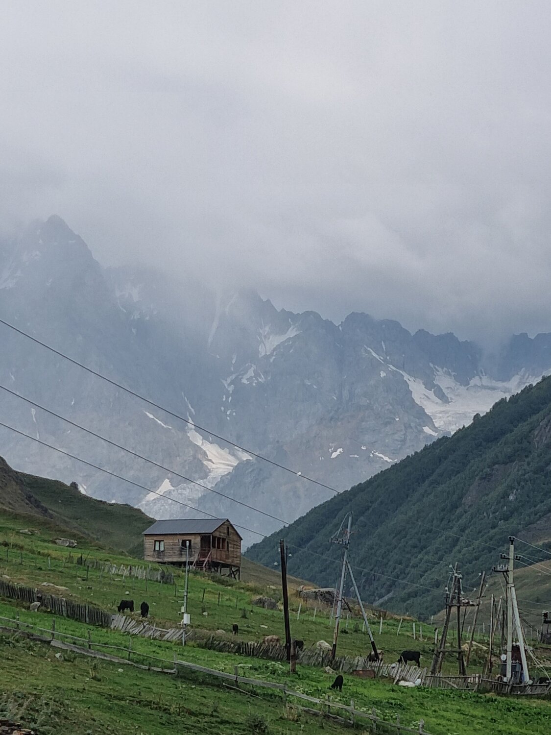 Photo #13883921