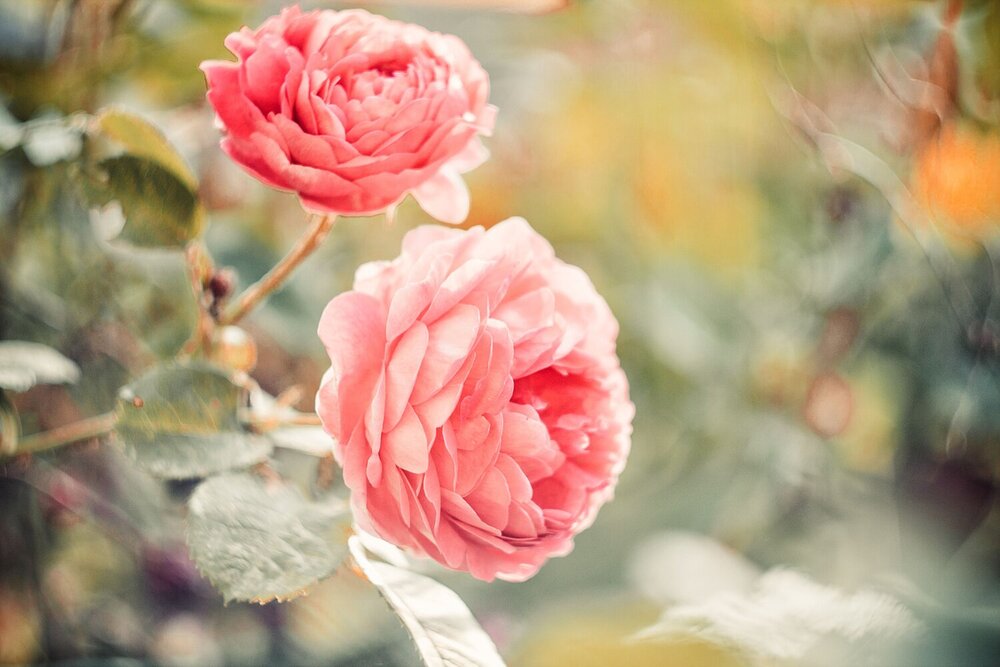 Photograph by Мария Курицына
