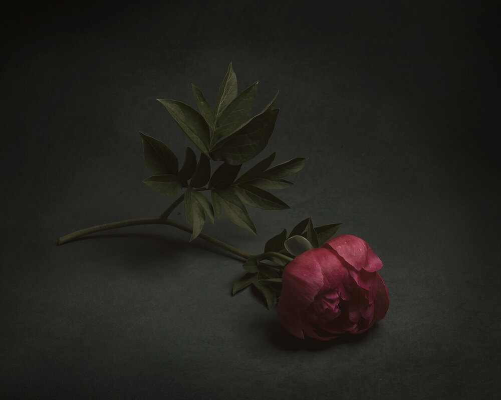 Photograph by Екатерина Рябкова