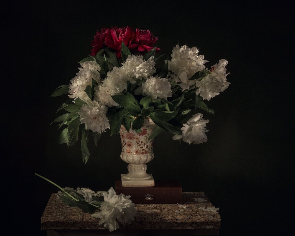 Photograph by Екатерина Рябкова