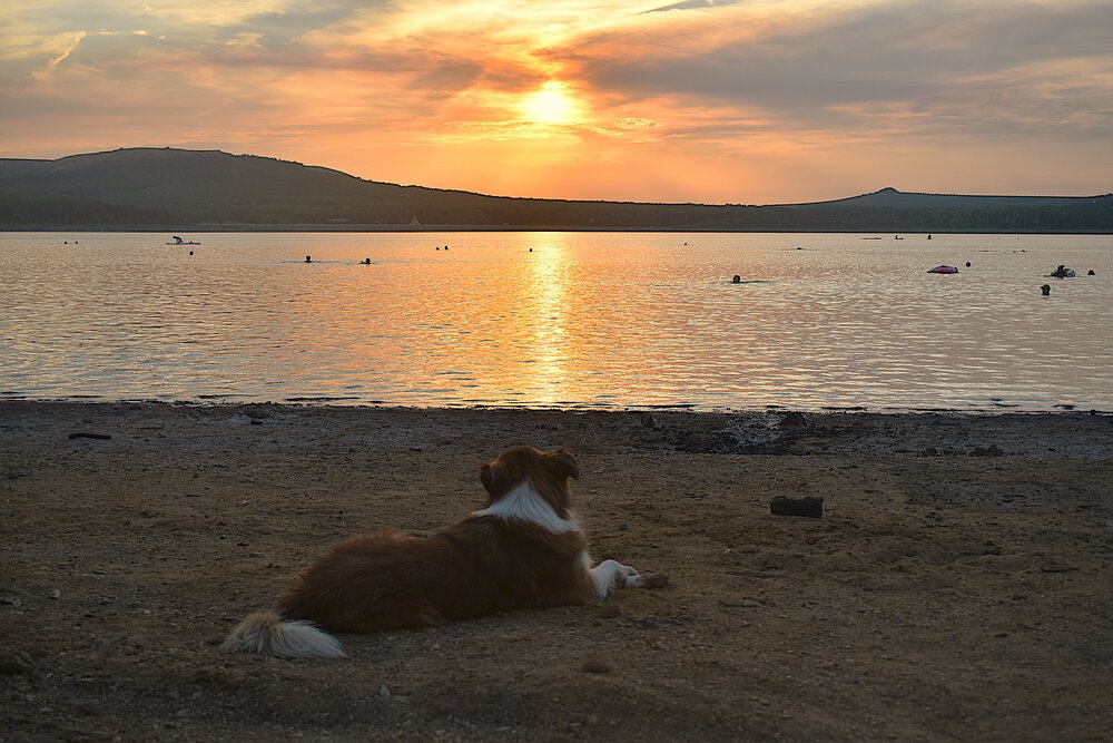 Photograph by Марина Красновид