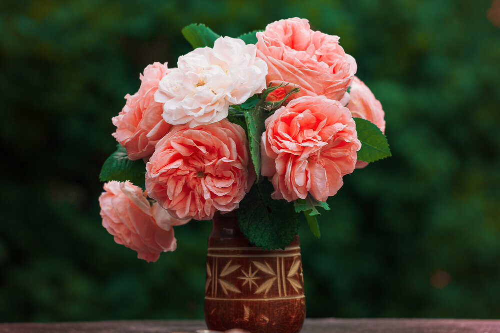 Photograph by Мария Курицына