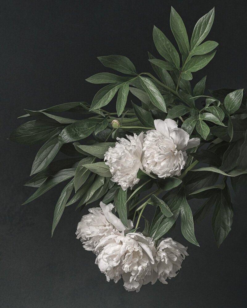 Photograph by Екатерина Рябкова