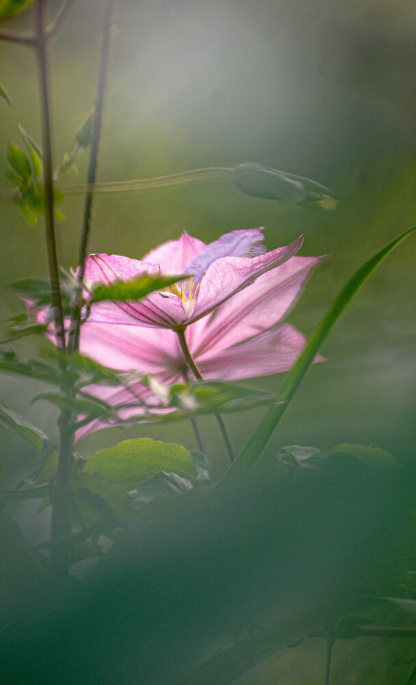 Photograph by Дмитрий Жижин