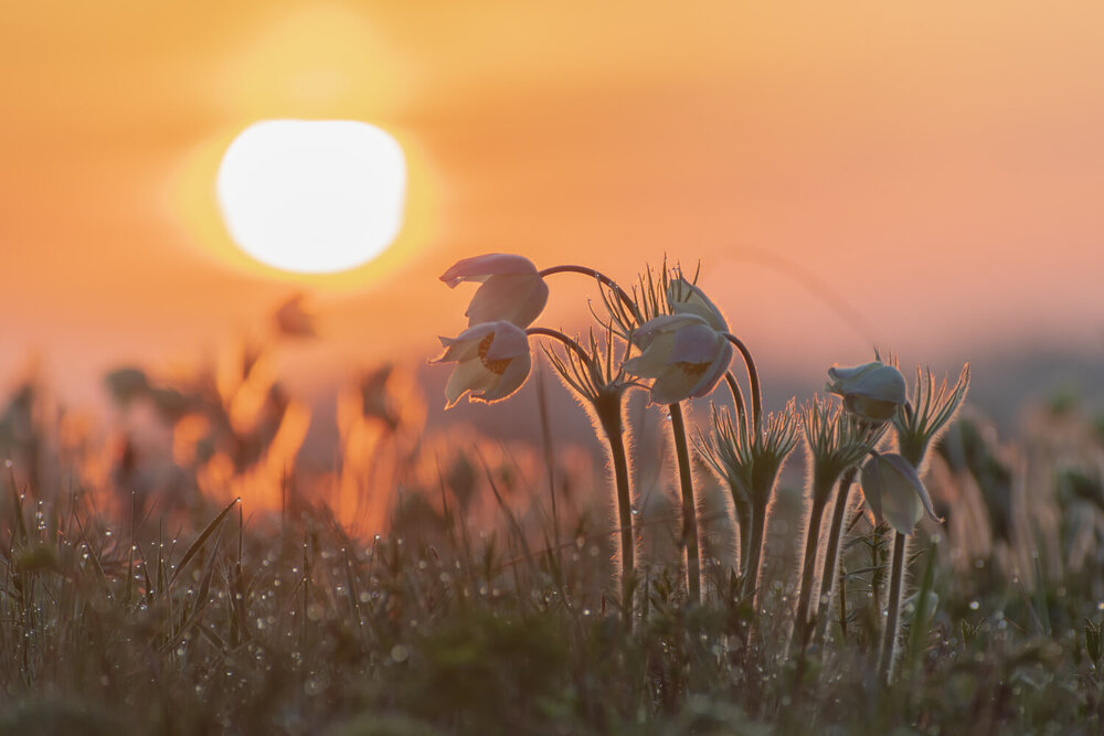 Photograph by Таипов Ильгиз
